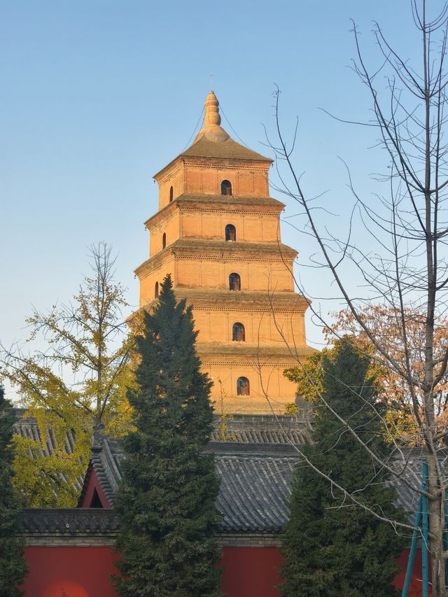 深秋初冬的西安大雁塔半日遊也太愜意了吧！