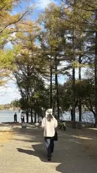 秋天的淨月潭美到失語