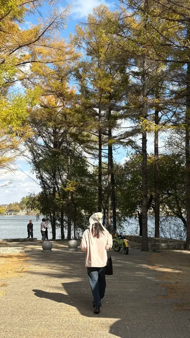 秋天的淨月潭美到失語