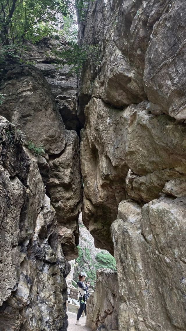 逃離城市計劃：我在保定白石山，找到了宮崎駿漫畫裡的夏天