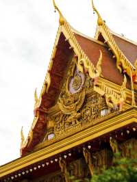 洛陽-鄭州3天遊攻略｜秋天去這倆地兒 值哭了