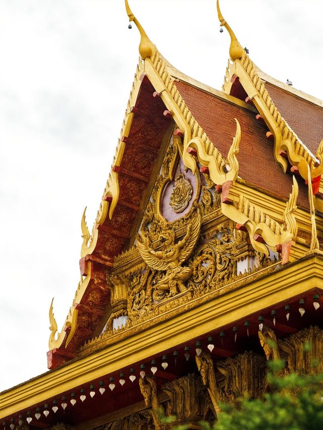 洛陽-鄭州3天遊攻略｜秋天去這倆地兒 值哭了