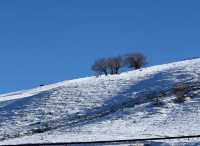 庫爾德寧自駕全攻略