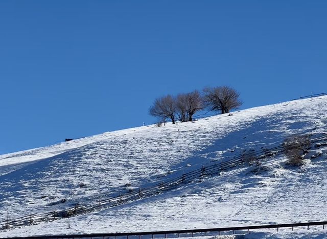 庫爾德寧自駕全攻略 庫爾德寧自駕全攻略