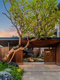 順德民宿封神！清暉園旁舊改秘境，深圳1.5h直達超治癒