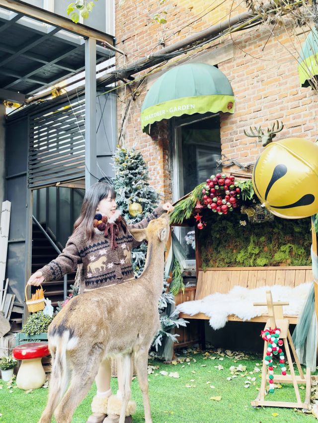 瀋陽冬遊圖鑑：漫季雲尚酒店帶你玩轉盛京暖冬