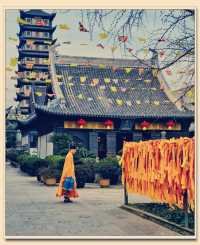 躲進700年古寺,我在真如寺尋得半日“大隱於市”