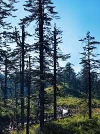 亞洲最大桌山瓦屋山雲海全攻略沒下雪也絕美