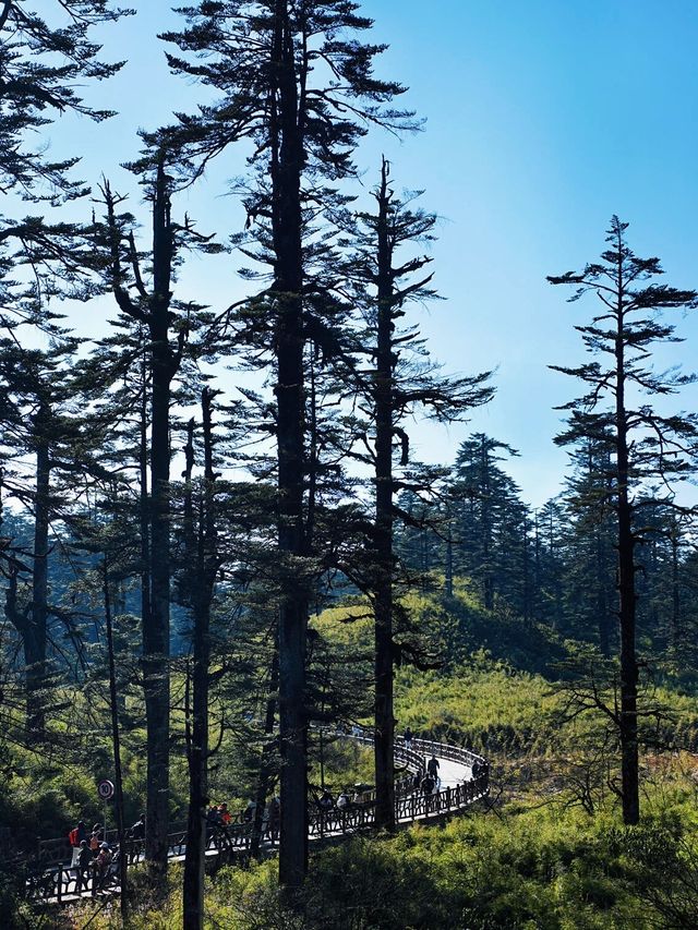 亞洲最大桌山瓦屋山雲海全攻略沒下雪也絕美 亞洲最大桌山瓦屋山雲海全攻略沒下雪也絕美