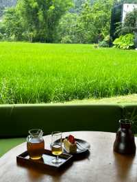 歸來仍是此間丨在山水與煙火氣中,找回生活