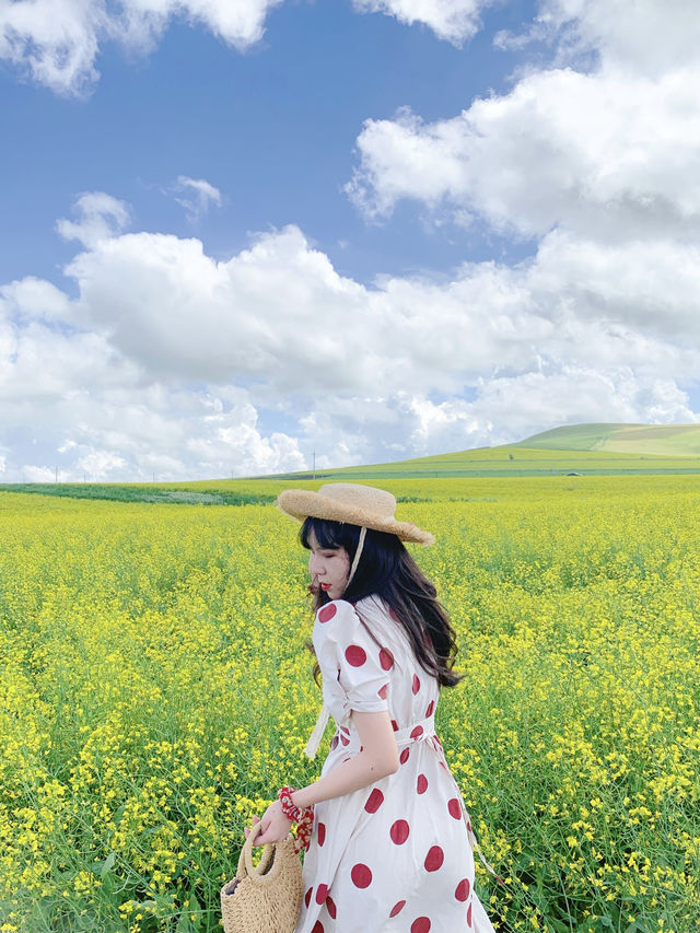 藍天白雲下的童話秘境內蒙古的森林草原童話 藍天白雲下的童話秘境內蒙古的森林草原童話