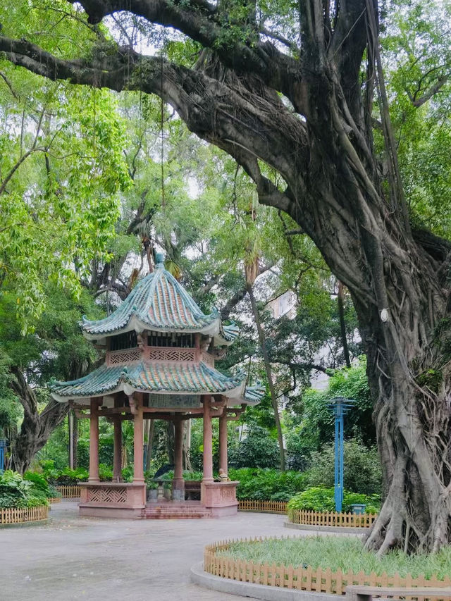 原來佛山都有中山公園? 原來佛山都有中山公園?