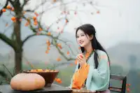 誰還沒去大貴州拍柿子？朋友問了10000次