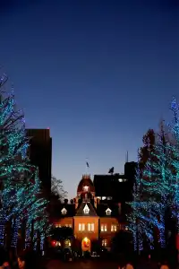 札幌｜白色燈光節