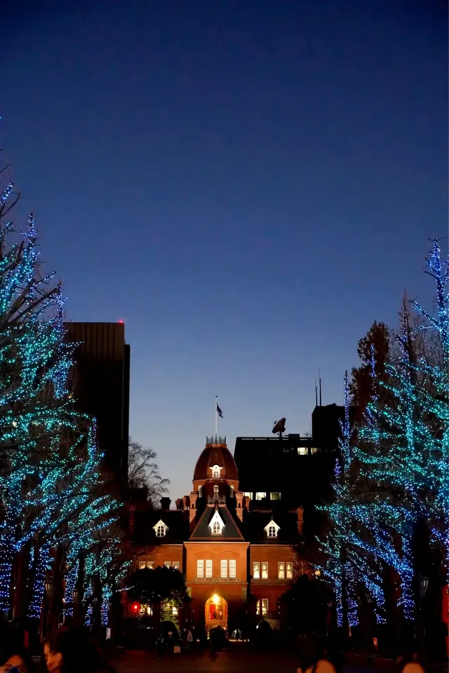 札幌｜白色燈光節