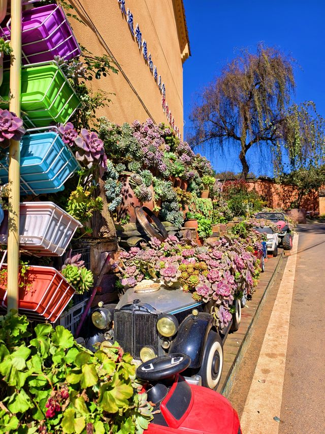 在曲靖挖到寶藏旅居地，馬龍土瓜沖把雲南生活過成詩