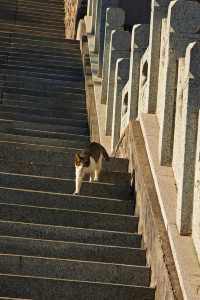 被時間遺忘的山西小眾古鎮,怕它火但忍不住分享…
