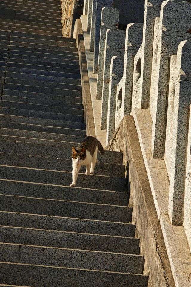 被時間遺忘的山西小眾古鎮,怕它火但忍不住分享… 被時間遺忘的山西小眾古鎮,怕它火但忍不住分享…