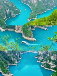 寶泉保姆級種草攻略