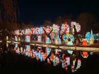 昆明大觀公園新春燈會(八)