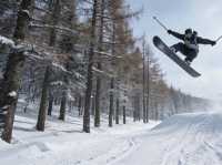 Changbai Mountain Skiing: Glide on World-Class Powder Snow & Hot Spring Magic!