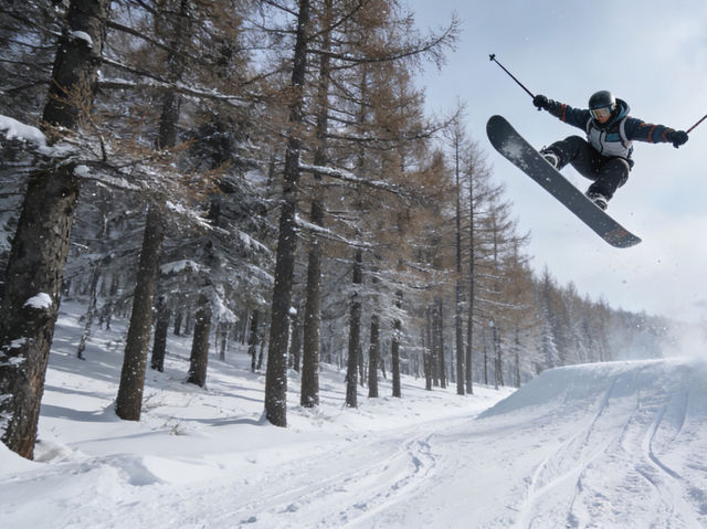 Changbai Mountain Skiing: Glide on World-Class Powder Snow & Hot Spring Magic! Changbai Mountain Skiing: Glide on World-Class Powder Snow & Hot Spring Magic!