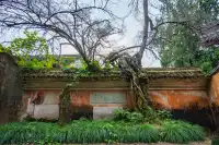 千年古剎-國清寺 靜心之旅