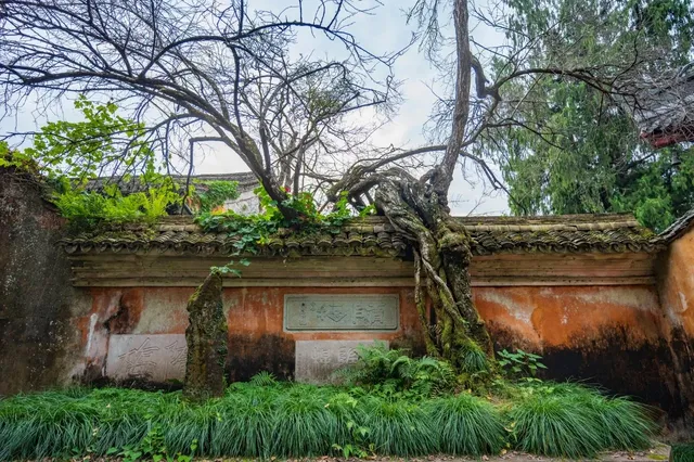 千年古剎-國清寺 靜心之旅