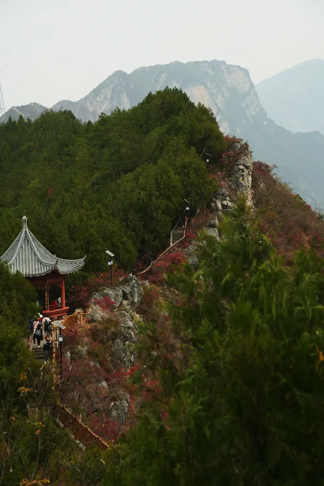 巫山龍脊看紅葉｜懶人零難度路線