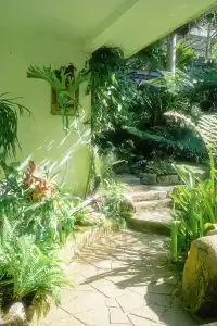 廈門植物園 | 像植物一樣呼吸