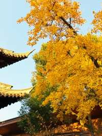 魔都秋日限定龍華寺美成古畫了!!!