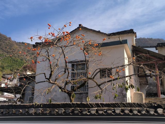 水墨宏村深度遊這份不走回頭路的懶人攻略必須碼住！