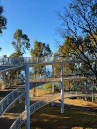 走進畫裡|滇池邊的樹與水與風都是自由的