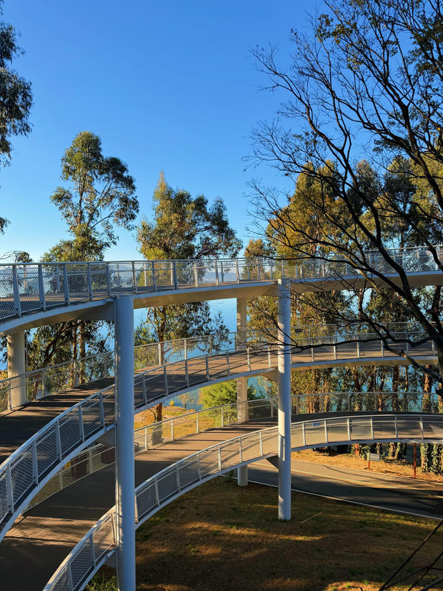 走進畫裡|滇池邊的樹與水與風都是自由的 走進畫裡|滇池邊的樹與水與風都是自由的