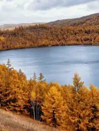 北京自駕阿爾山追秋