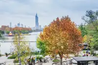 玄武湖秋景美到犯規