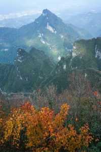 張家界冬韻棲居 松間藏暖慢賞周邊雅景