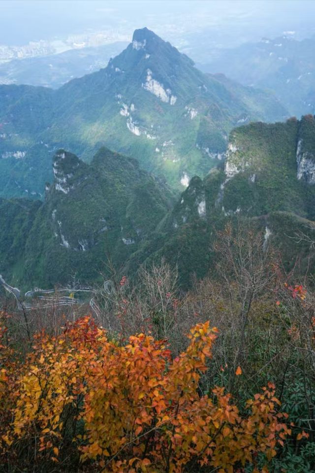 張家界冬韻棲居 松間藏暖慢賞周邊雅景