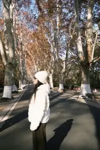 鐘山風景區精華指南含無人版梧桐大道