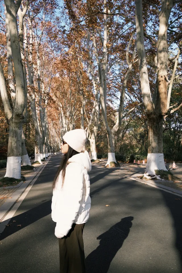 鐘山風景區精華指南含無人版梧桐大道 鐘山風景區精華指南含無人版梧桐大道