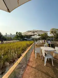 深圳寶藏親子牧場餵鹿撸兔遛娃絕了!