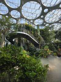 Shanghai Greenhouse Garden – всё, что нужно знать