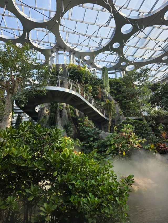 Shanghai Greenhouse Garden – всё, что нужно знать Shanghai Greenhouse Garden – всё, что нужно знать