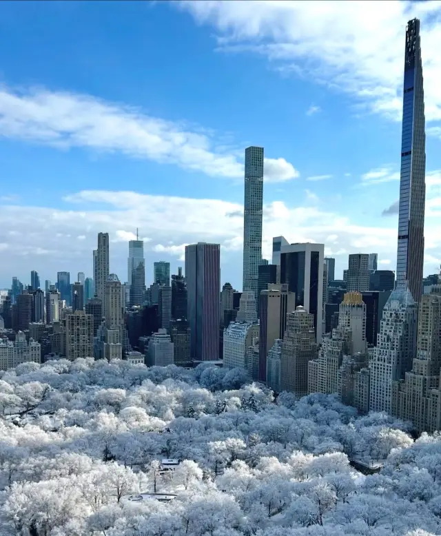 A must-see in New York: Central Park transforms into a fairy tale world after the snow—so beautiful it's almost unfair!
