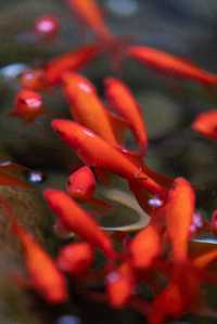 西安秋冬必住!城牆邊詩意別院