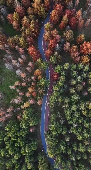 อุทยานพื้นที่ชุ่มน้ำหลงวาน | การเดินทางสุดมหัศจรรย์ท่ามกลางป่าต้นเมตาเซควอยา