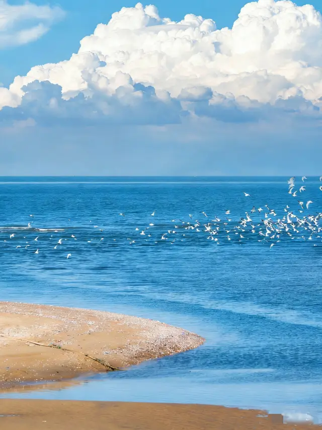 เมื่อคุณไปทัวร์ 5 วันที่ชิงเต่า-เหวี่ไห่-หยานไถ