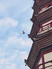 羅定的人文街道TOP1