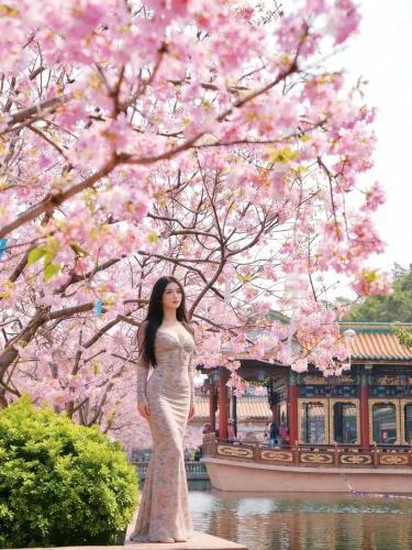 open lace back dress Cherry Blossom Hanfu Set  Belchic