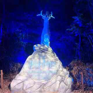 2026年 [Shenzhen] Harry Potter: A Forbidden Forest Experience観光